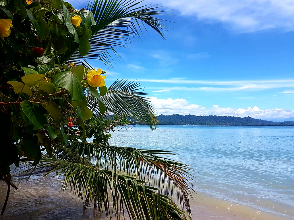 Strand und Dschungel vereint