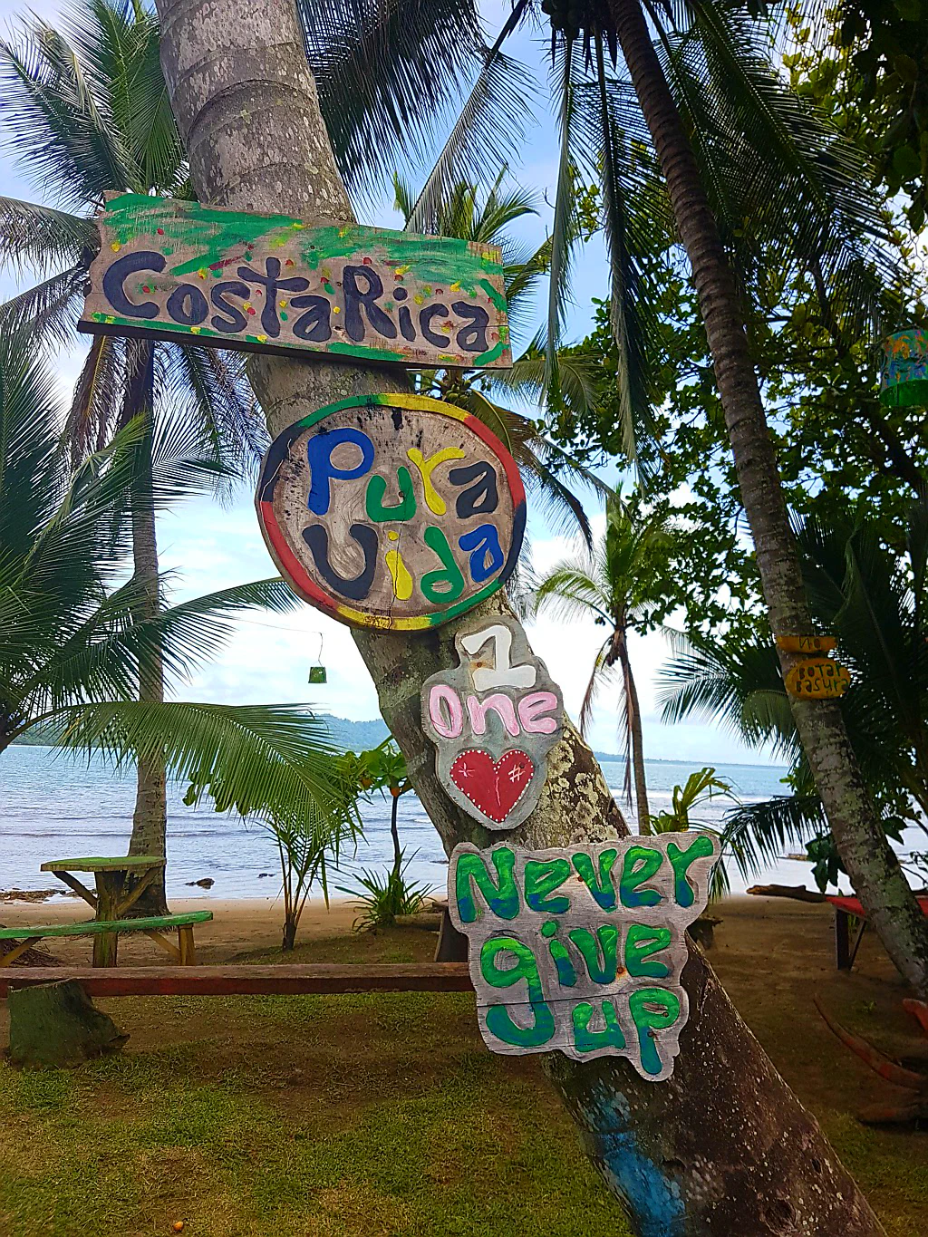 Karibisches Flair in Puerto Viejo