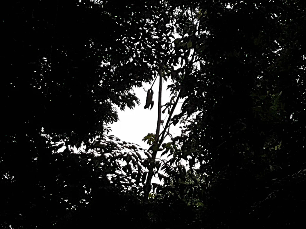 Same here... Dabei hätte das mit guter Kamera ein richtig cooles Bild werden können...