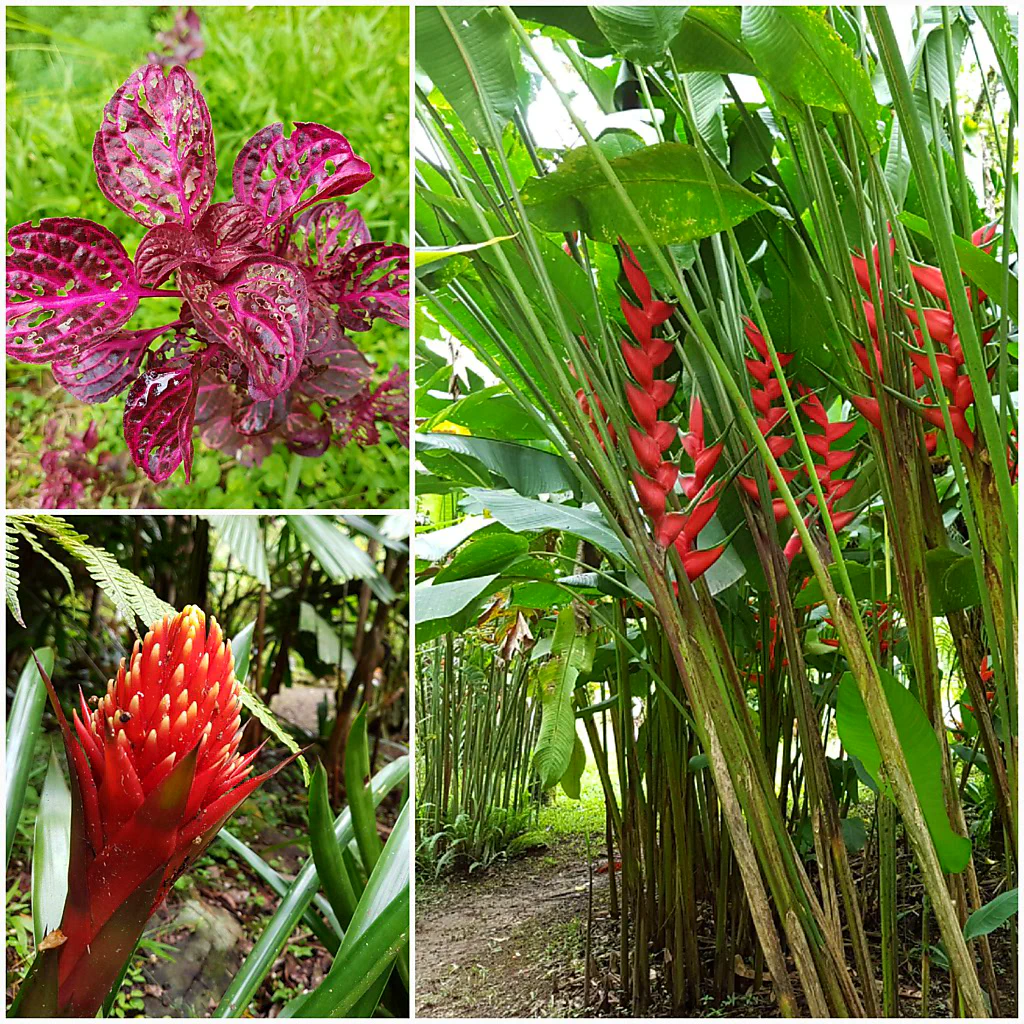 Blick über das Naturreservat