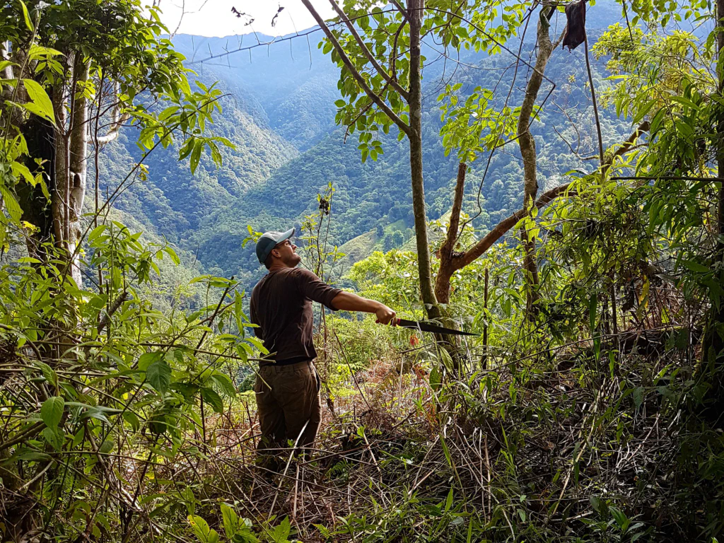 Jans Lieblingsbeschäftigung - sich mit der Machete durchs Dickicht kämpfen.
