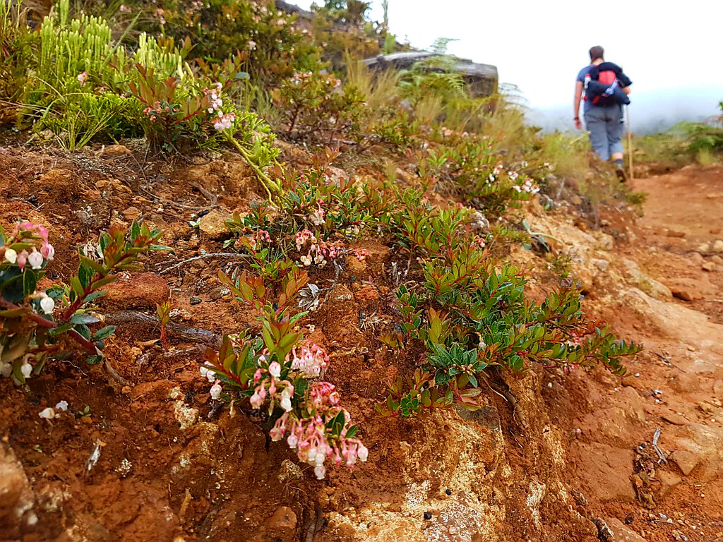 Mittagspause auf dem Trail