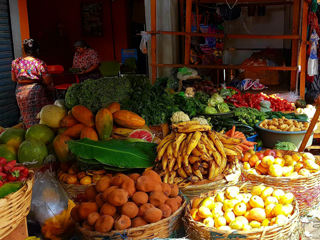 Vorne Mitte: Zapotes bzw. Breiäpfel