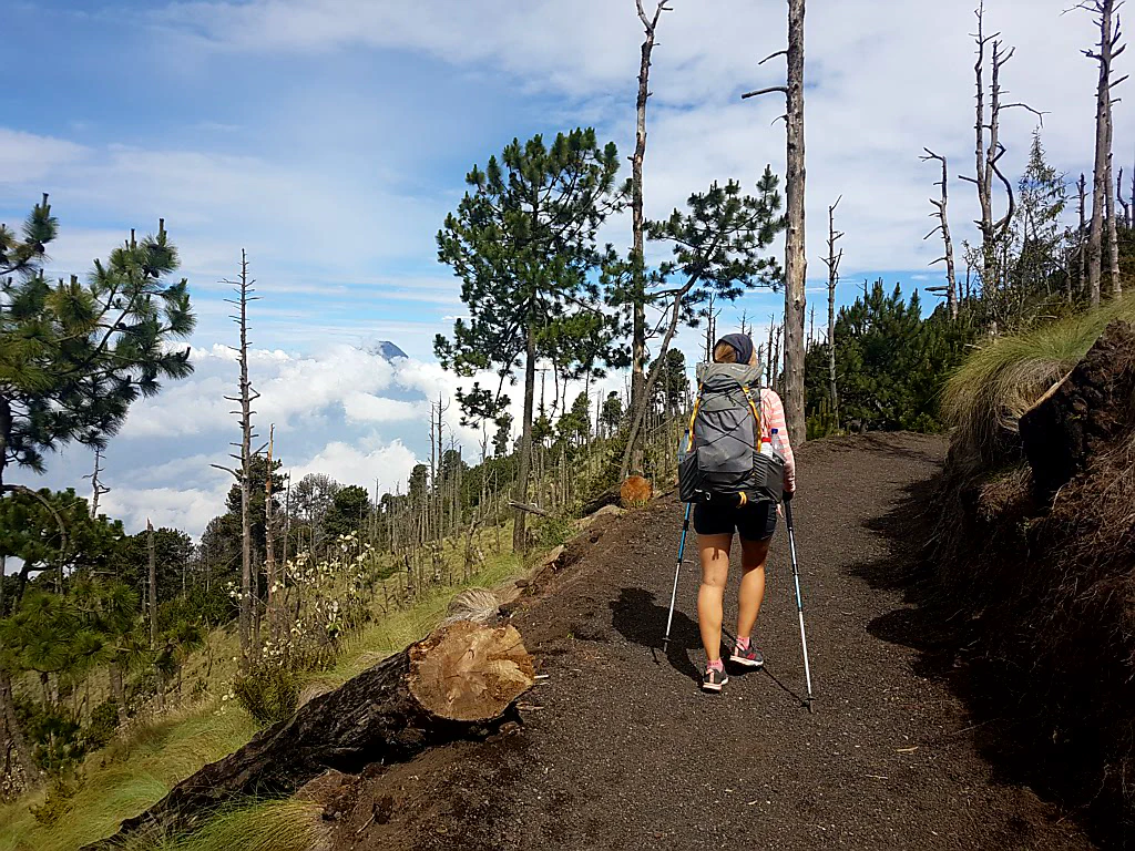 Das Dickicht lichtet sich! Wer sieht den Vulkan?