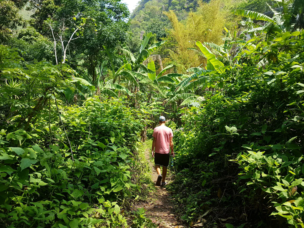 Trampelpfad in Guatemala