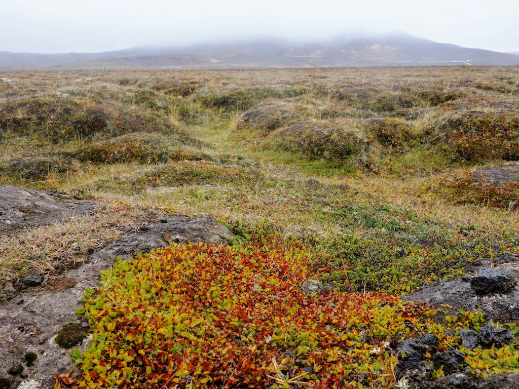 Vulkanlandschaft am Leirhnjúkur