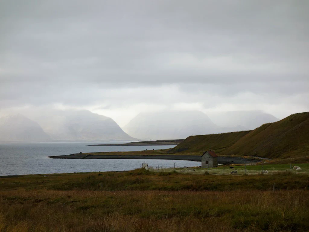 Die Westfjorde verzaubern uns
