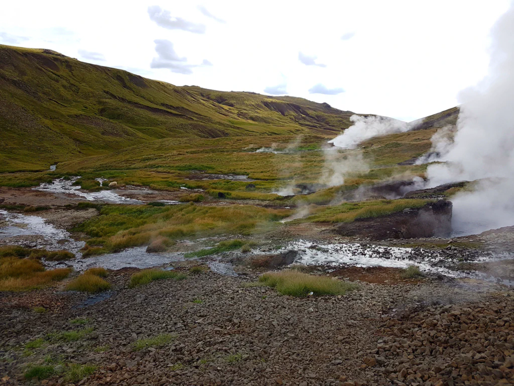 Island, wie man es sich vorstellt: Überall dampft es aus der Erde.