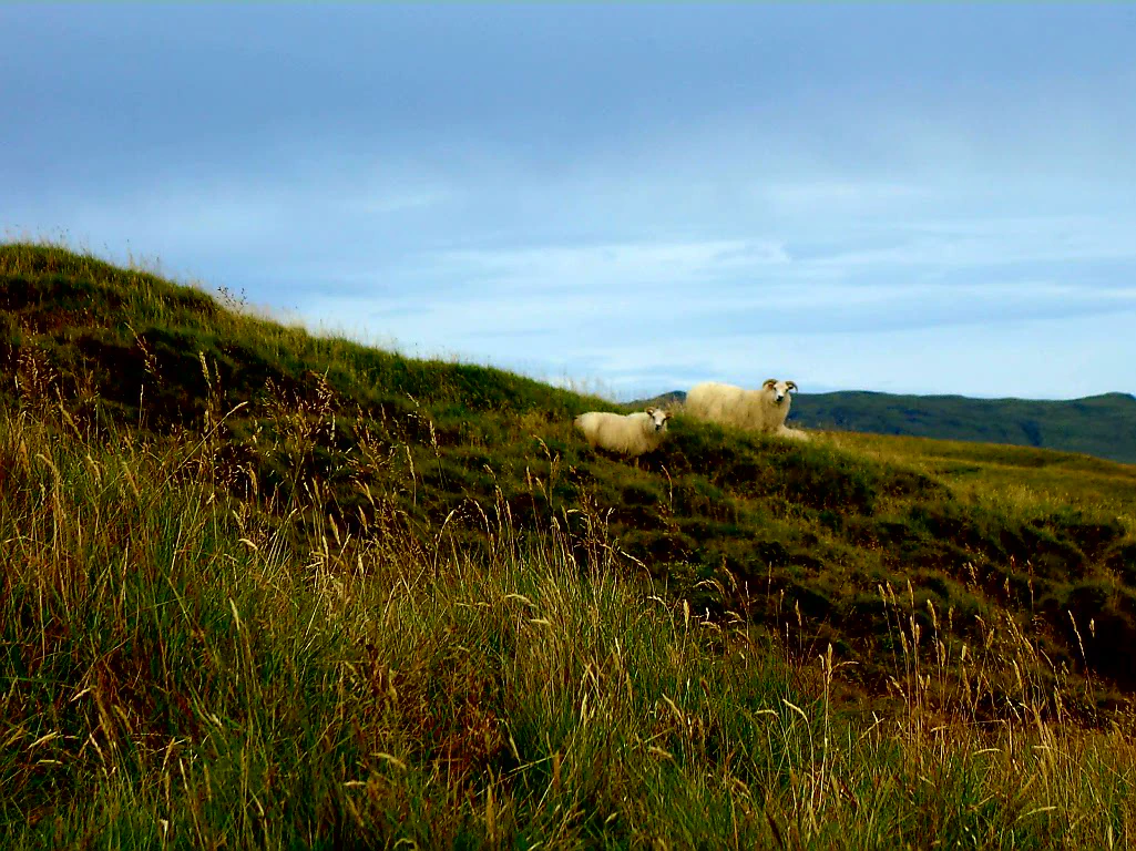 Aber sie nicht auf mich...