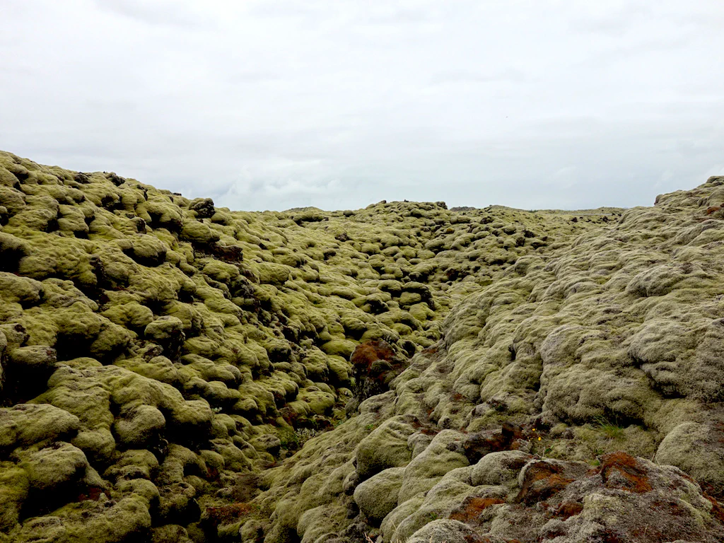 ...und nur so kommt man auf Island auch an solch tollen Landschaften vorbei.