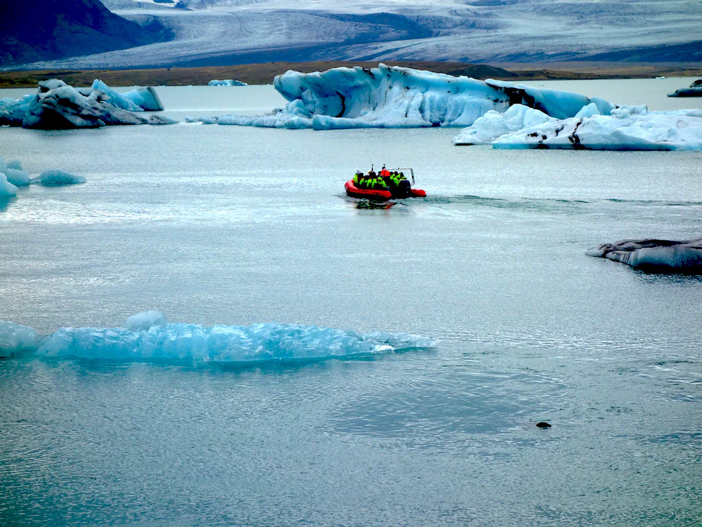 Wer entdeckt die Robbe?