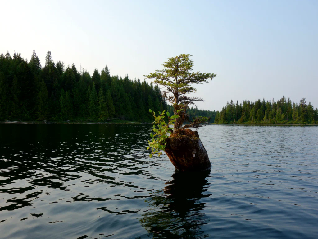 Tag zwei auf dem Wasser