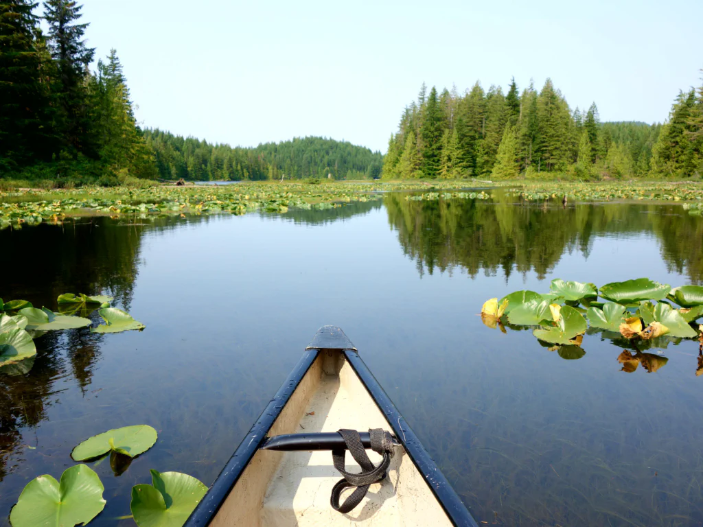 Endlose Seerosenfelder auf dem Twin Lake