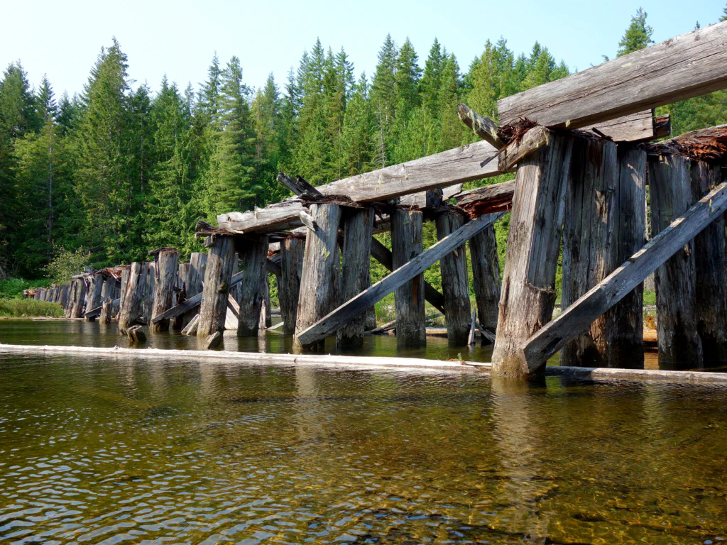 Treibholz an den Brückenpfählen