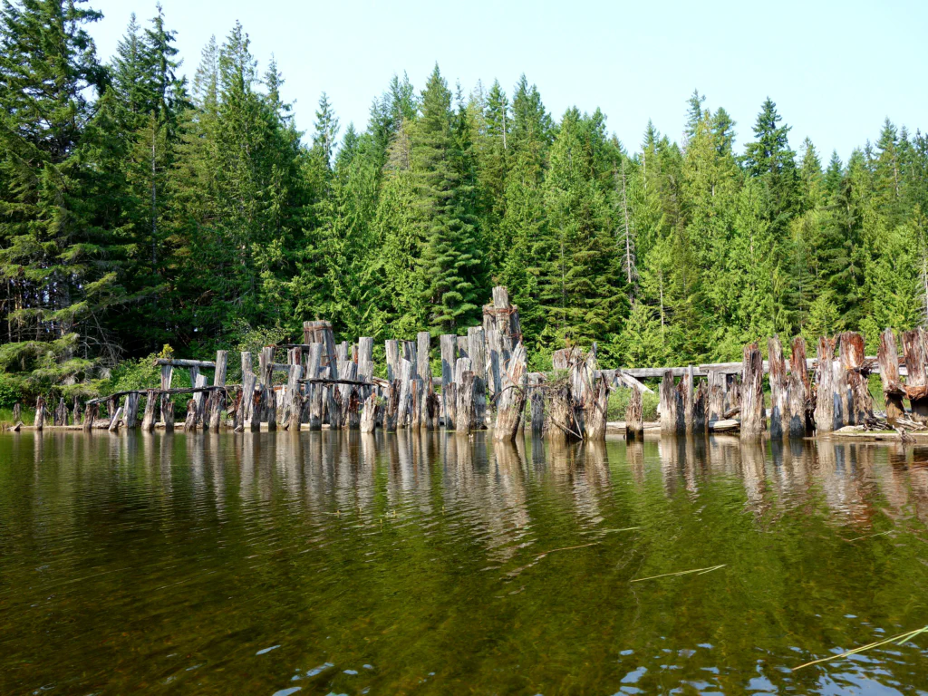 Weiter geht die Fahrt