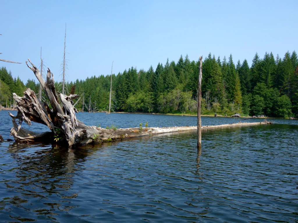 Idyllische Wasserwege