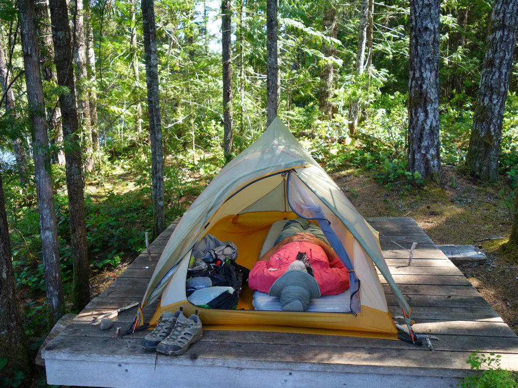Seltener Anblick: Dan bei einem Nickerchen