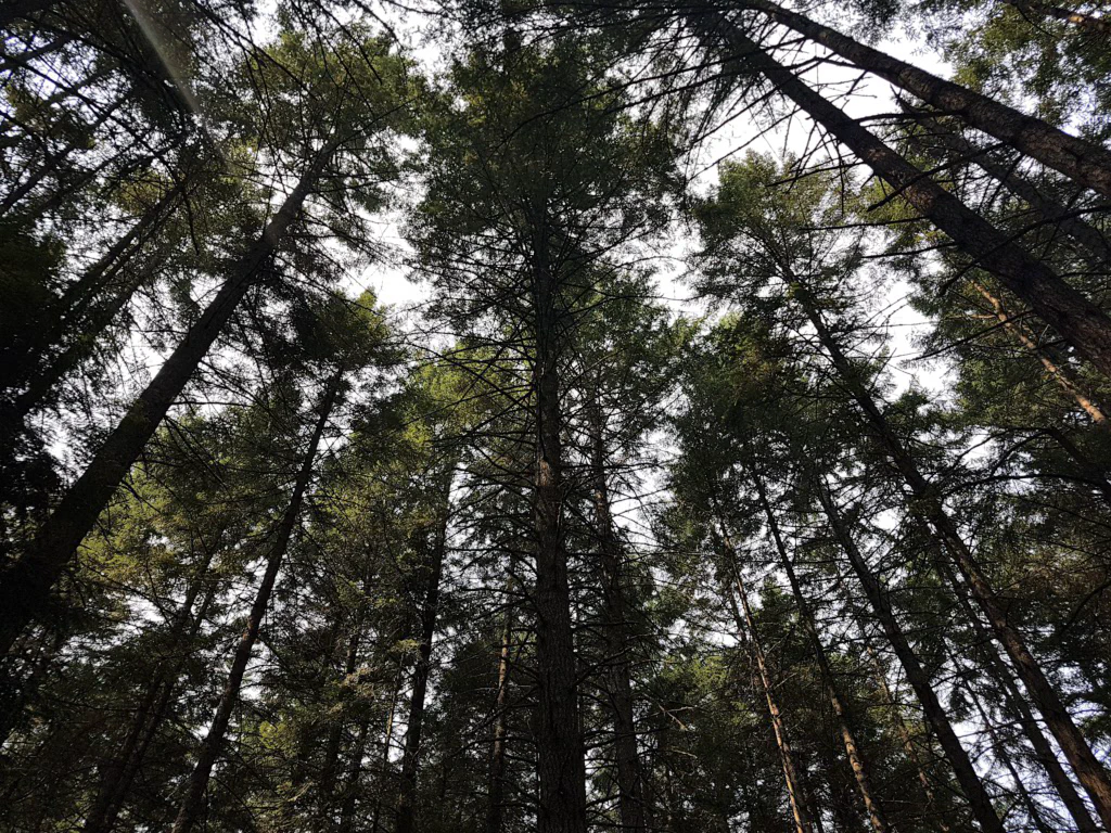 Fast am Gipfel angekommen