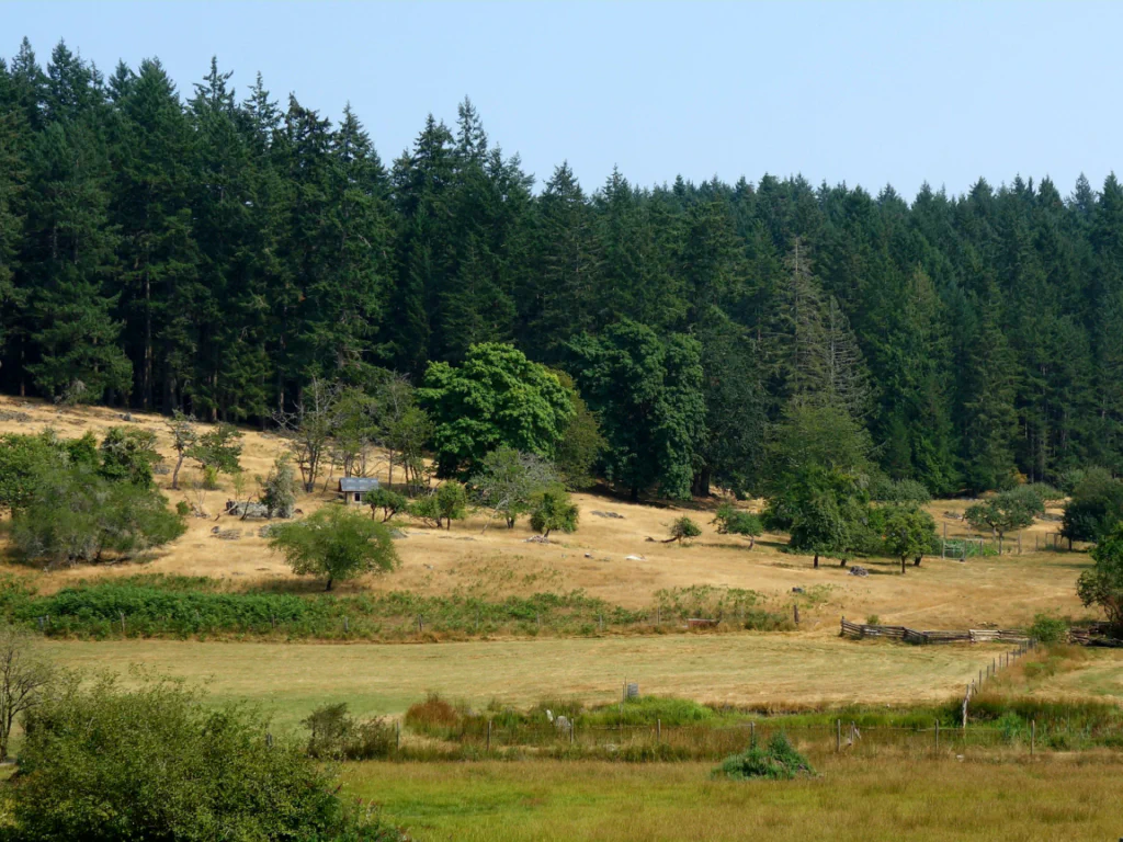 Idyllisches Salt Spring Island