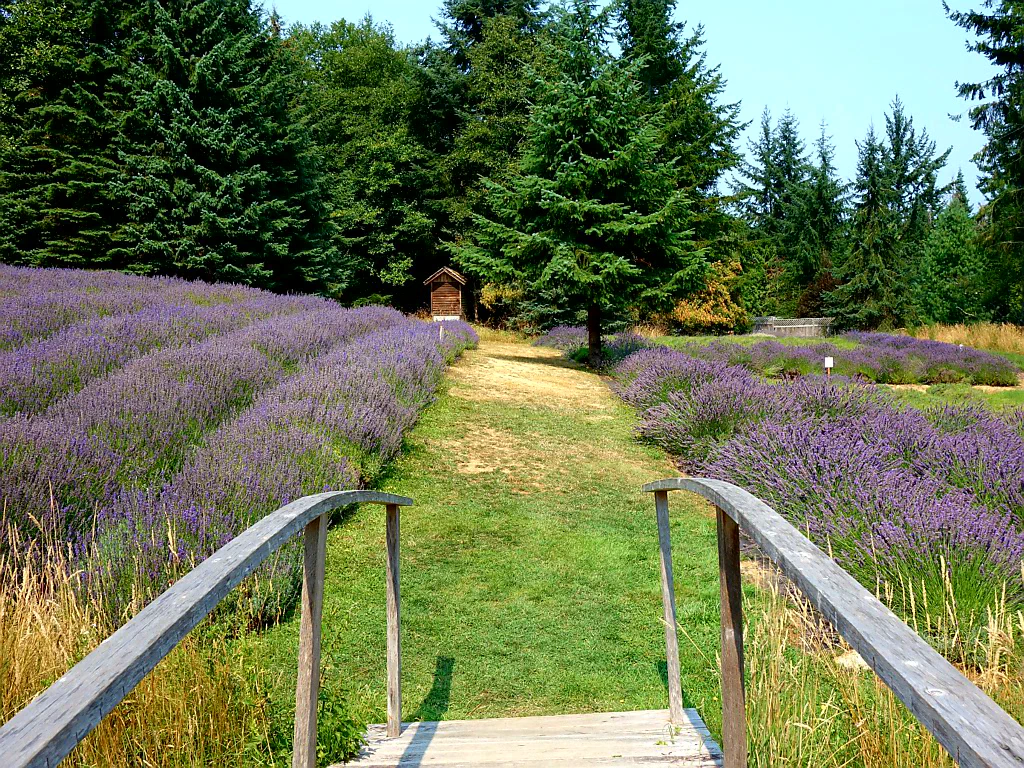 Ein bisschen Provence in Kanada.