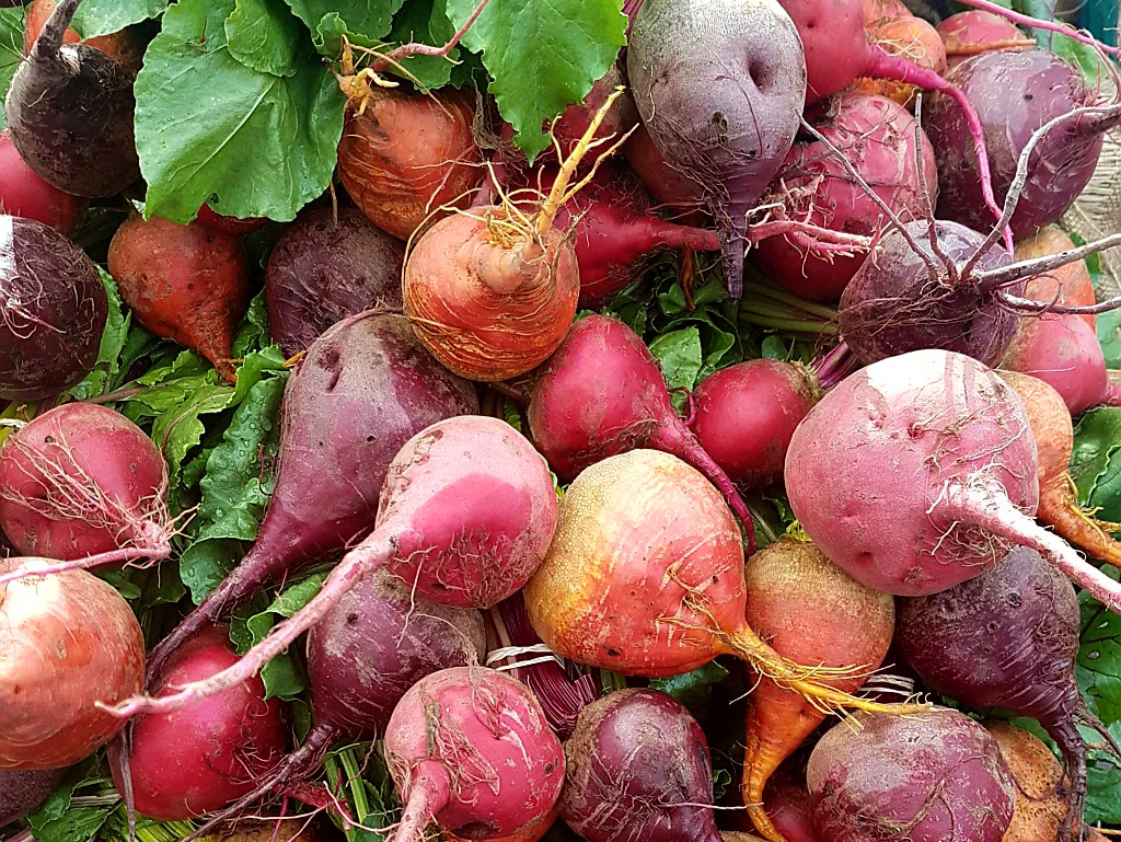 Bei dem Anblick schrumpft meine Sehnsucht nach den Früchten Südamerikas.