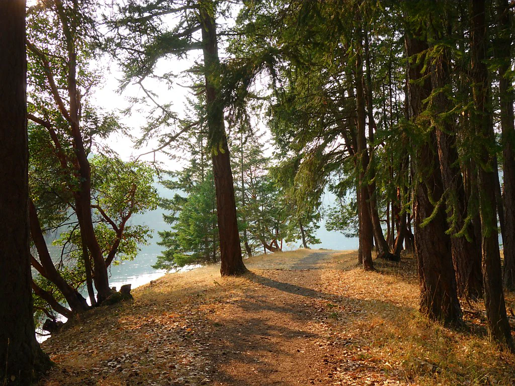 Kurzer Weg von der Campsite ans Meer