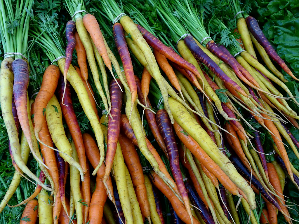 Buntes Treiben am Markt