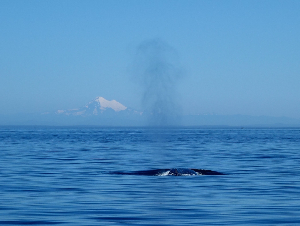 Oh wie schön ist Kanada!