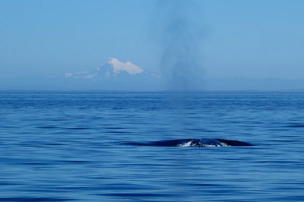 Oh wie schön ist Kanada!