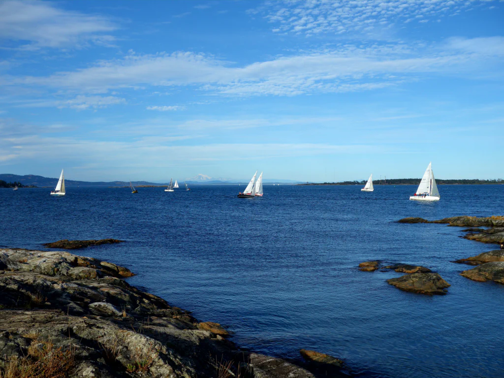 Cattle Point Victoria