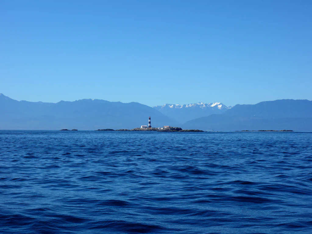 Warten auf den grossen Fang