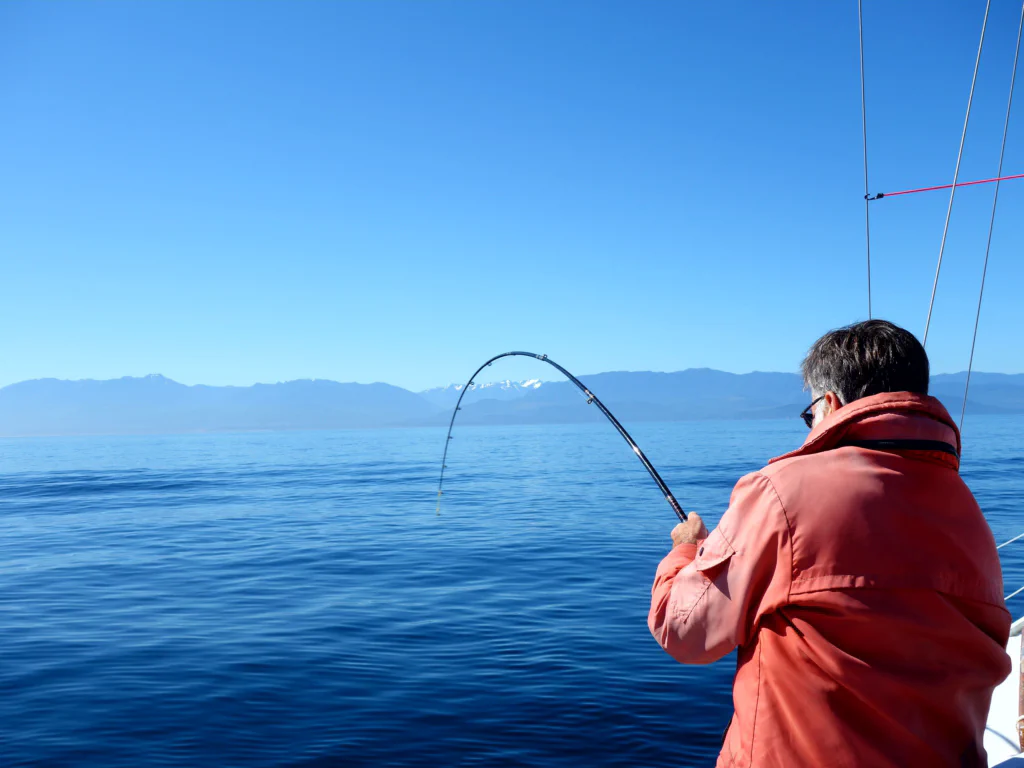 Möge der Kampf beginnen!