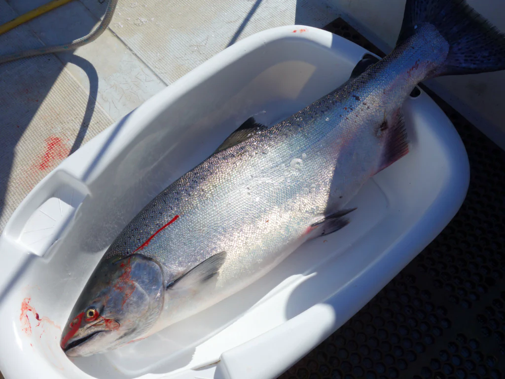 Stolz auf unseren Fang