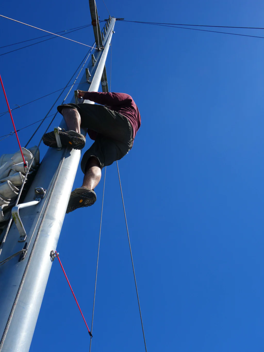 Den besten Platz gibt es oben.