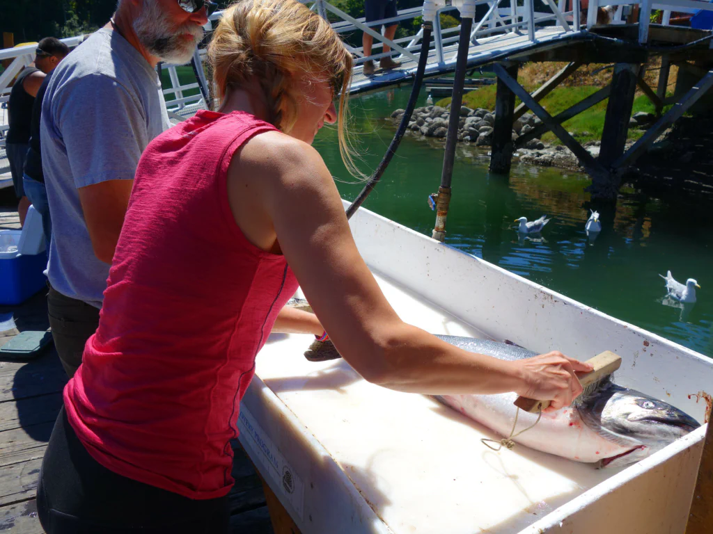 Der Lachs wird filetiert