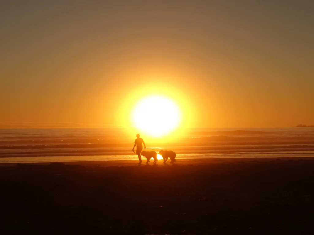 Abendstimmung am Pazifik