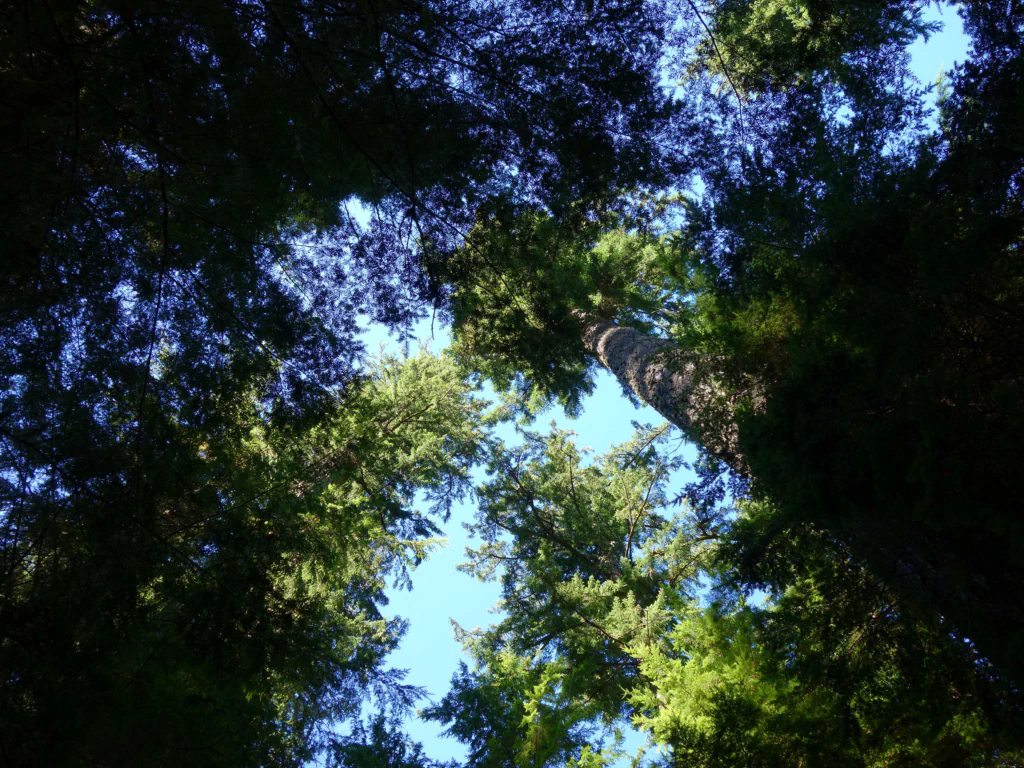 Zu viele Touristen - ich guck lieber nach oben...