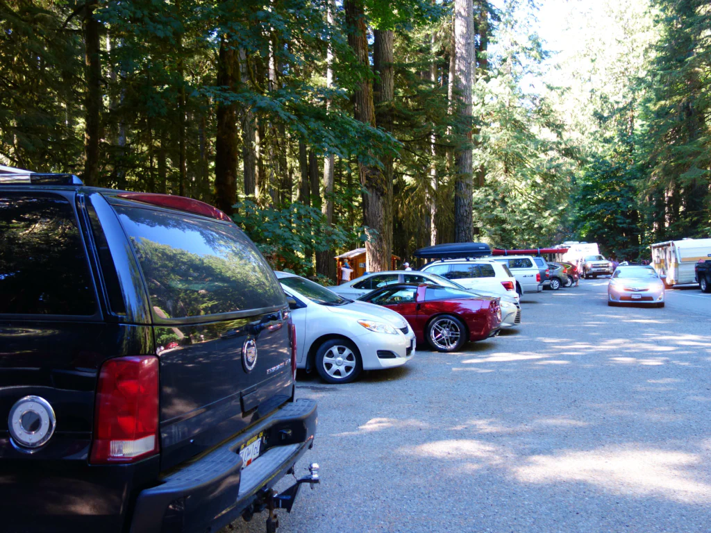 Full House am Cathedral Grove