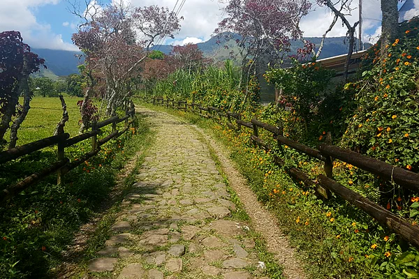 Busfahren auf Kolumbianisch: 34 km. 3 Stunden. Immer schön am Abhang entlang.
