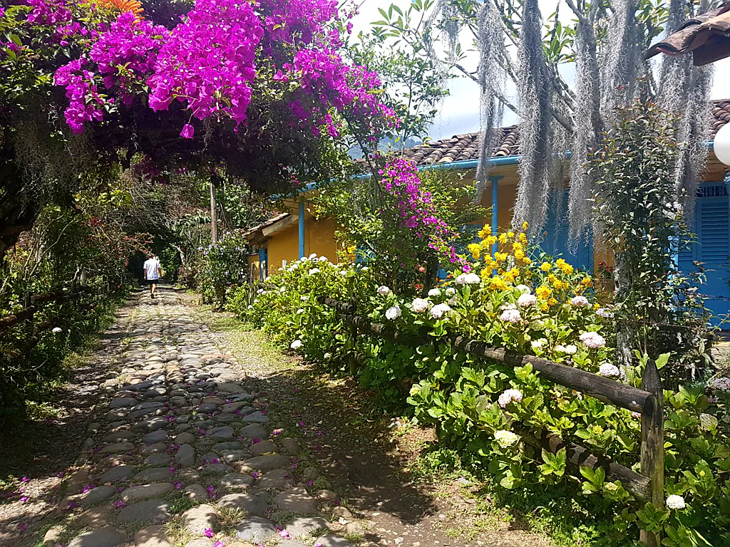 Spaziergang durch die Kaffeeplantagen