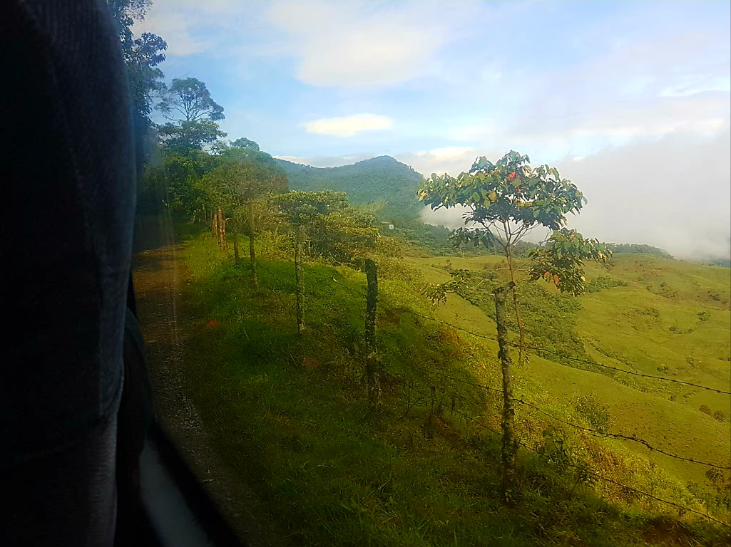 Idyllische Busfahrt...