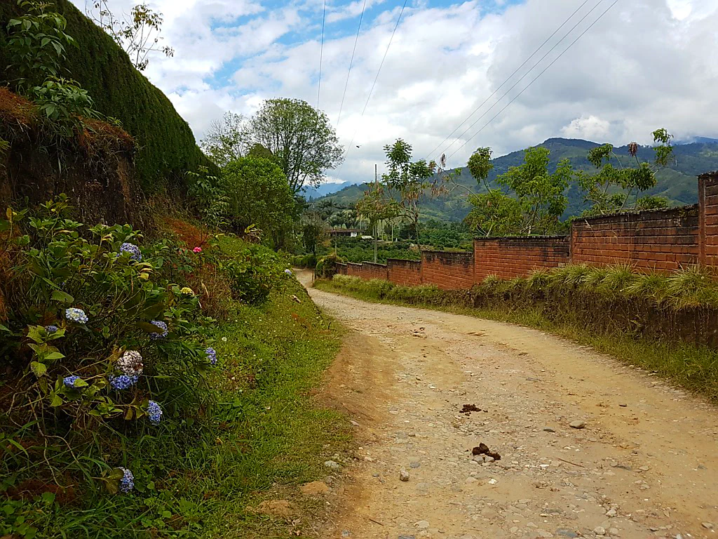 Grüne Hügel rund ums Hostel