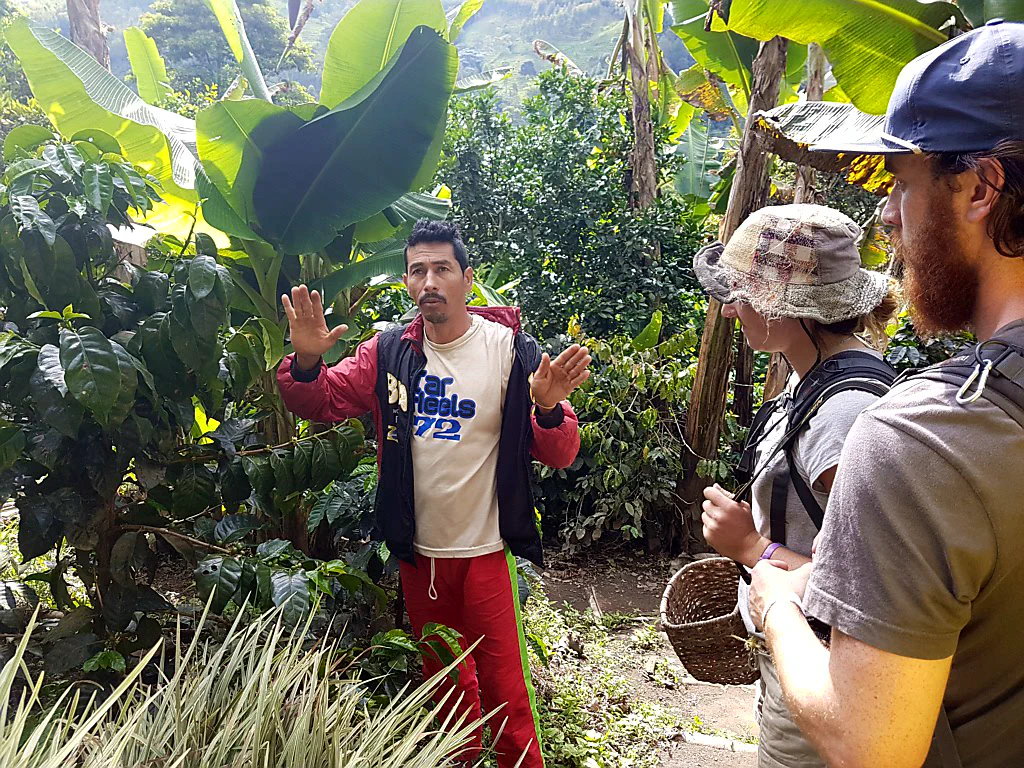 Das ist nicht Don Elias.