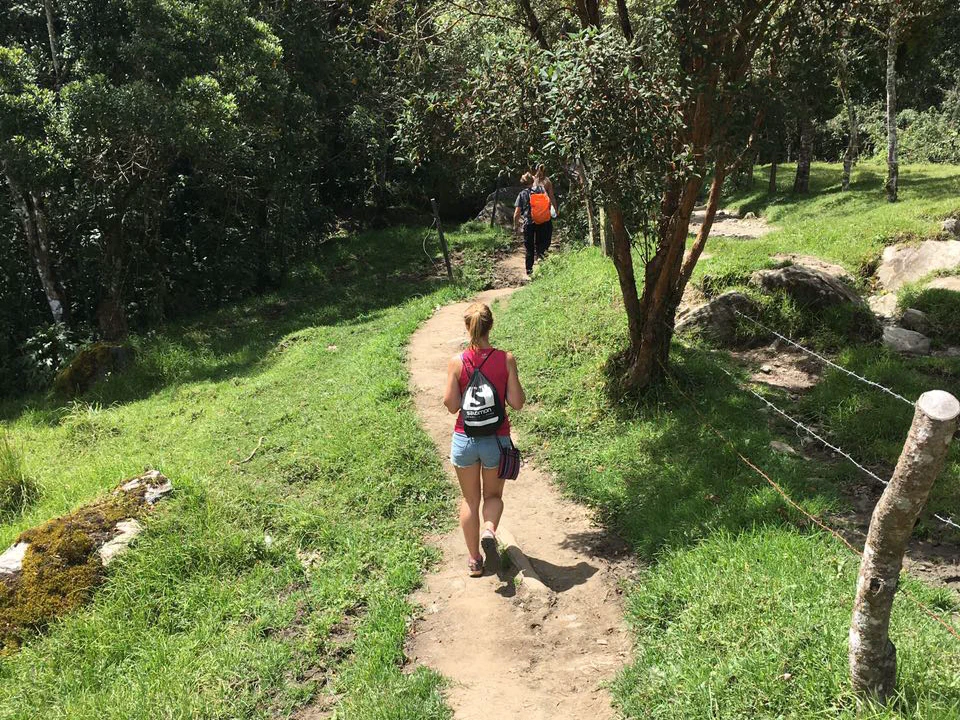 Sanfte Hügel im Cocora Valley