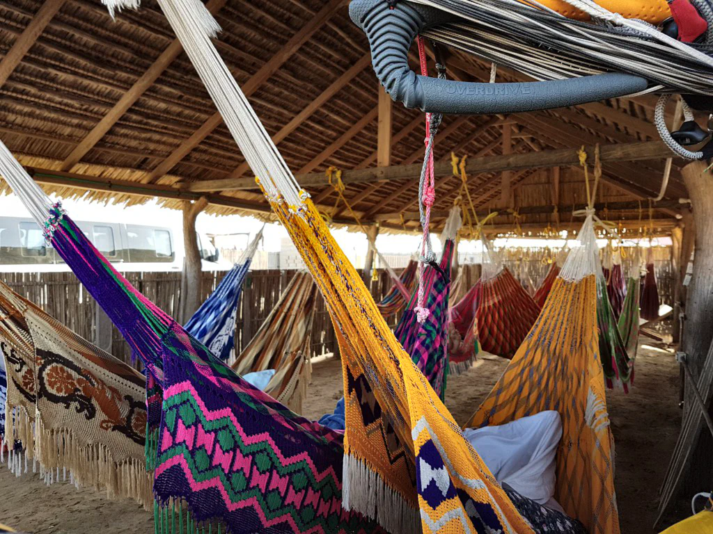 Hängematten-WG mit 16 Mitbewohnern