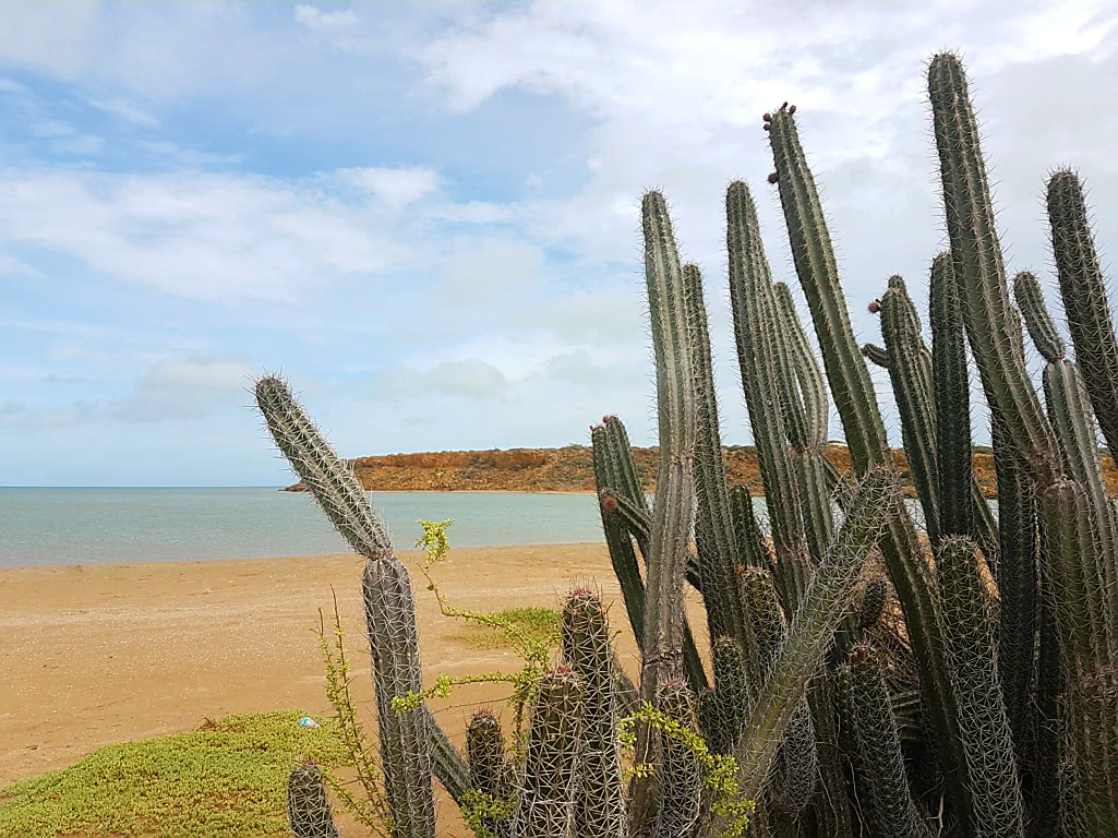 Zurück nach Santa Marta