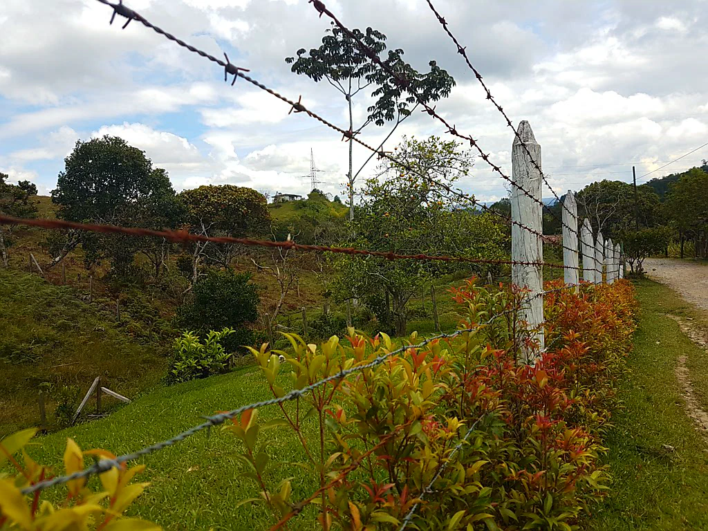 Der Piedra del Peñol in Sichtweite
