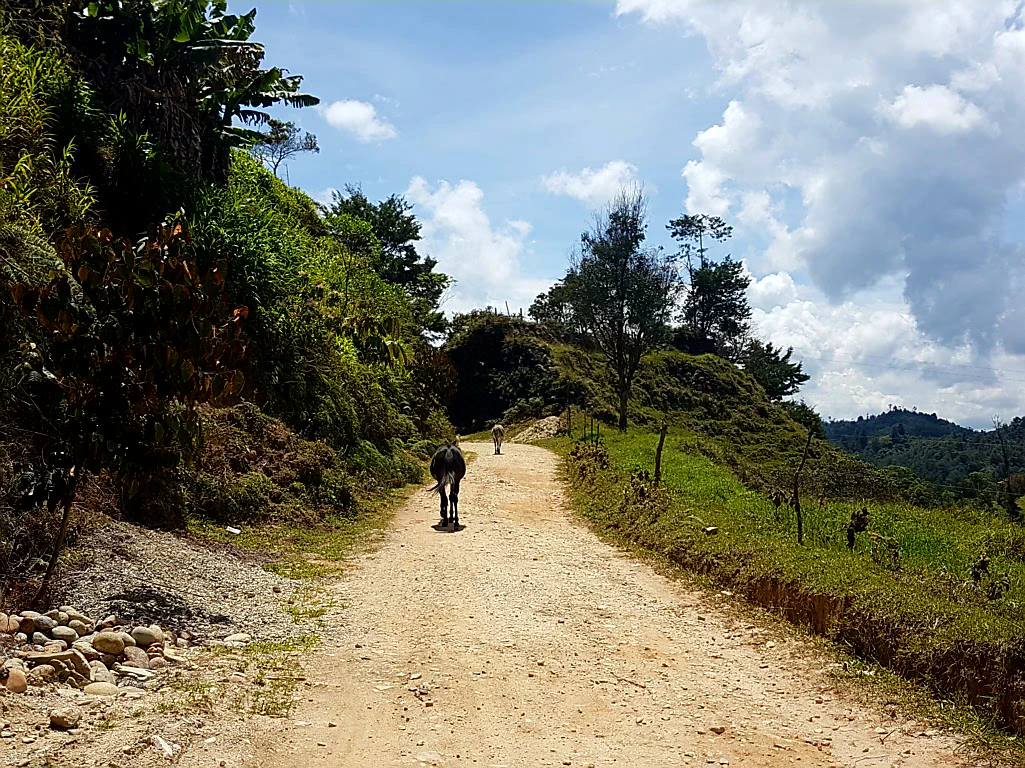 Endlich mal Gesellschaft auf dem Weg!