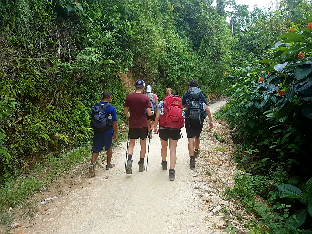 Los gehts in den Dschungel!