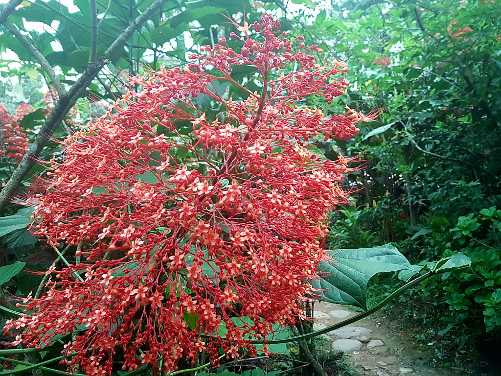 Unser Lager für die erste Nacht